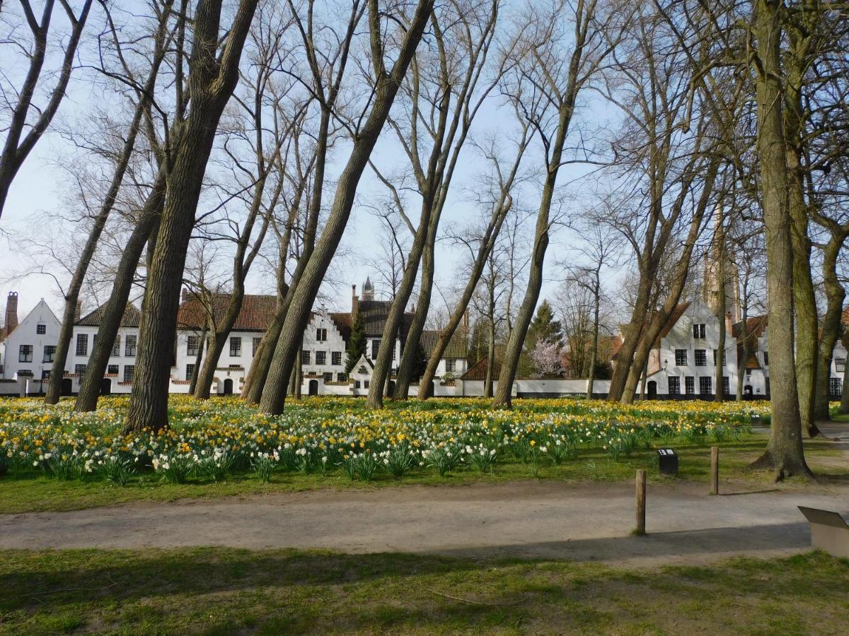 Casa vacanze Kruitenberg